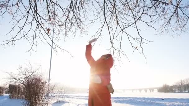 Κορίτσι χτυπήματα χιονιού από έναν κλάδο σε ένα άλμα, αργή κίνηση — Αρχείο Βίντεο