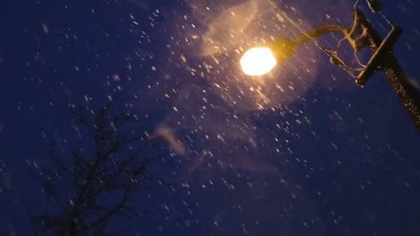 Lantaarn verlicht vallende sneeuwvlokken bij avond, Slowmotion — Stockvideo