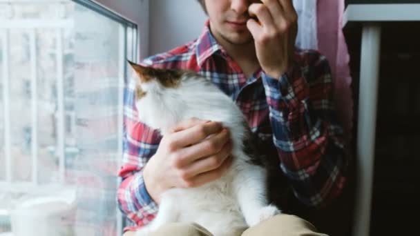 El hombre peina a un gato blanco. Un hombre cuida de un pelaje de gatos sentado en el suelo en casa — Vídeo de stock