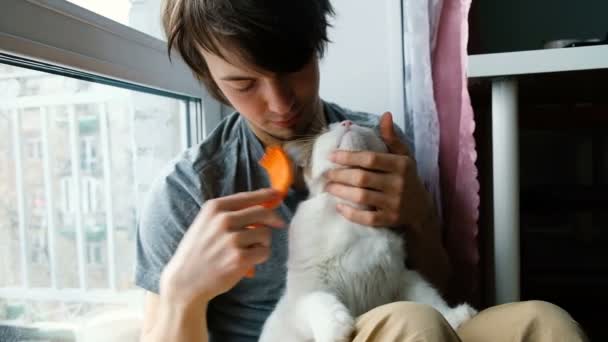 Un homme gratte un peigne de chat blanc, au ralenti — Video