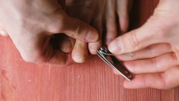 Muž úhledně škrty nehty na nohou s kleště detail. Člověk dělá sám pedikúru doma na podlaze, pohled shora — Stock video