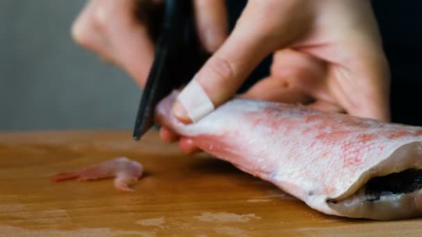 Kvinnan klipper fenor och stjärt nära fisken — Stockvideo