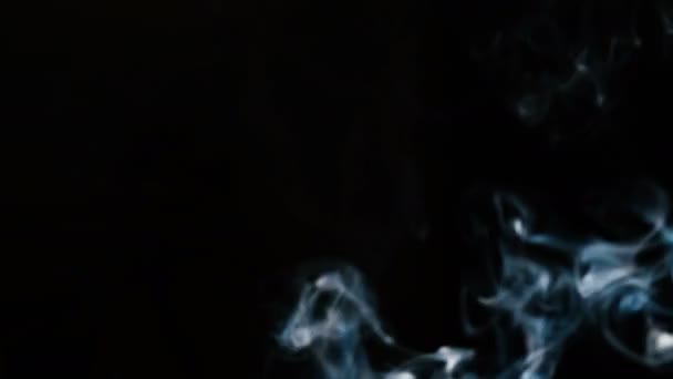 Дым свернулся на черном фоне — стоковое видео