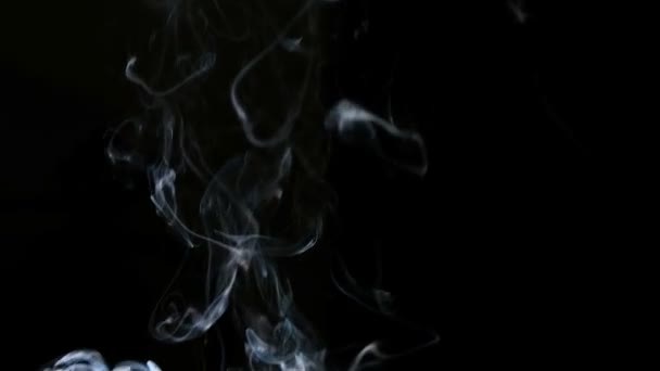 Fumée de cigarette sur fond noir au ralenti — Video