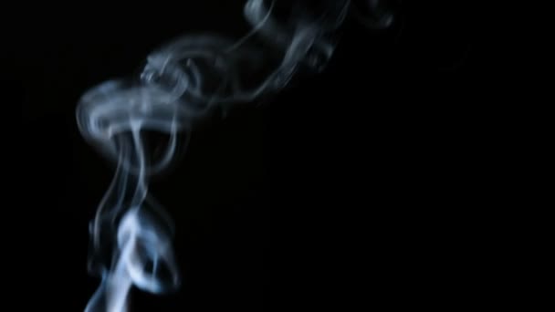 Incense smoke on a black background in slow motion — Stock Video