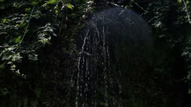 Aşağı damla akışından bitkiler üzerinde bir taş, şelale sıçramalarına, ağır çekim