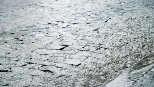 Bilen passerer på våt asfalt etter regn, sakte bevegelse – stockvideo