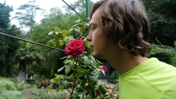 El hombre gracioso está oliendo una gran rosa roja en un árbol, cámara lenta — Vídeos de Stock