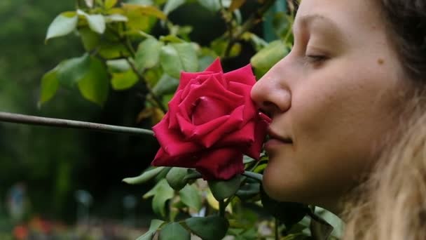 Mujer oliendo una gran rosa roja en un árbol con los ojos cerrados de cerca — Vídeos de Stock