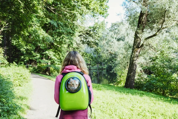 A séta, nézett ki az ablakon, egy hátizsák, séta a parkban, egy nyári napon egy macska hordozó vörös macska. — Stock Fotó