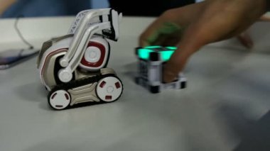 St. Petersburg, Rusya - 12 Kasım 2018: Ellerini masanın üzerine küçük bir robot ile oynarken bir küpteki kızla