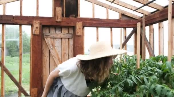 Meisje boer in een strooien hoed en kleding gaat naar de serre en geniet van de oogst — Stockvideo