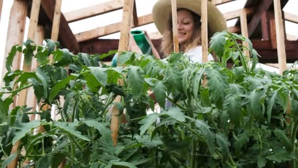 愉快的妇女在草帽和礼服倒庄稼番茄水从一个浇灌罐在床上 — 图库视频影像