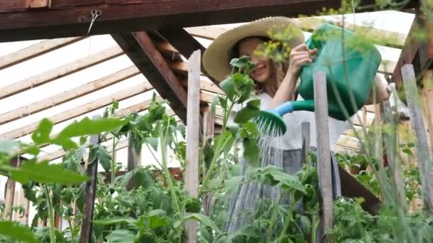 Щаслива красива дівчина в солом'яному капелюсі п'є воду на рослинах з лійки в теплиці — стокове відео