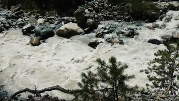 Mountain river flowing between rocks in slow motion — Stock Video
