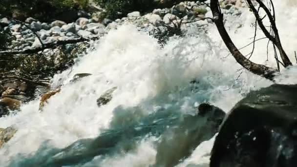 Los arroyos de agua de un río de montaña corren a lo largo del bosque, en cámara lenta — Vídeo de stock