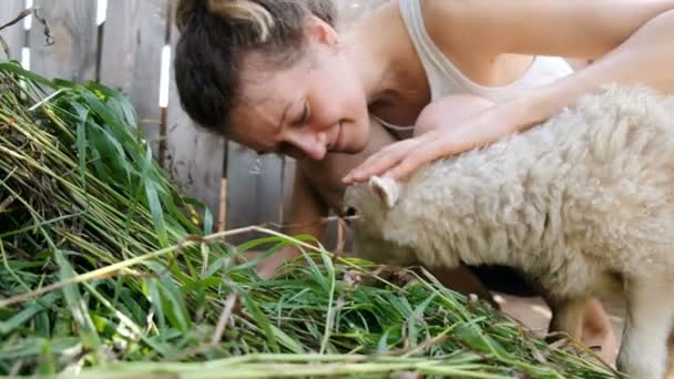 Jovem mulher acariciando uma ovelha branca em uma fazenda uma grama de mastigação de cordeiro — Vídeo de Stock