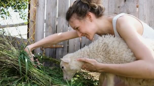 Молодая женщина делает селфи на смартфоне с белой овцой на ферме, баранина жует траву — стоковое видео