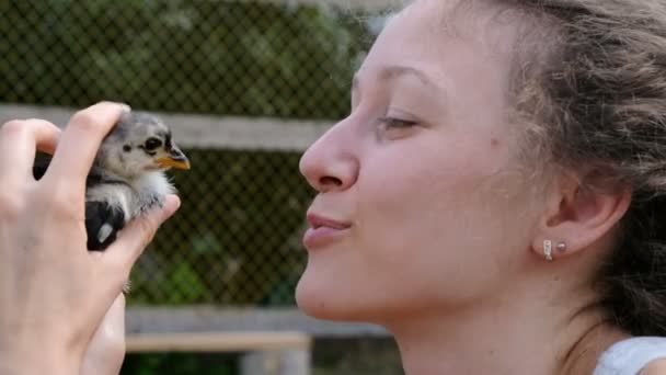 Frau hält ein kleines Huhn in der Hand und wird von einem Vogel aus nächster Nähe berührt — Stockvideo