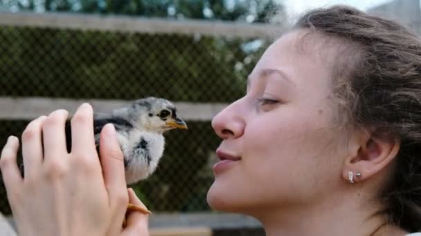 Жінка гладить і тримає маленьку курку в руках і рухається птахом впритул — стокове відео