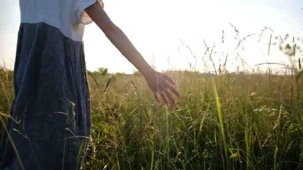 여 대 손 석양, 슬로우 모션에 필드에서 여름에 건조 높은 잔디를 통해 보낸다 — 비디오