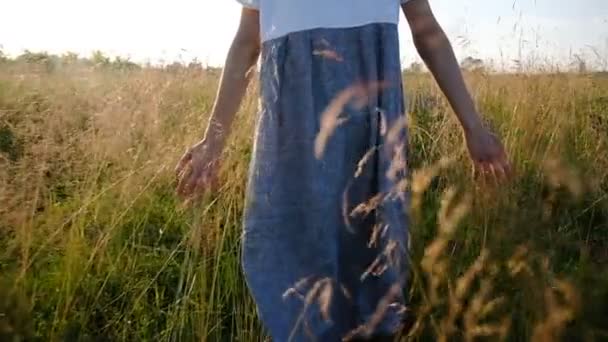 La mujer en un vestido largo está caminando en un campo con hierba alta al atardecer. Cámara lenta, movimiento de la cámara — Vídeos de Stock