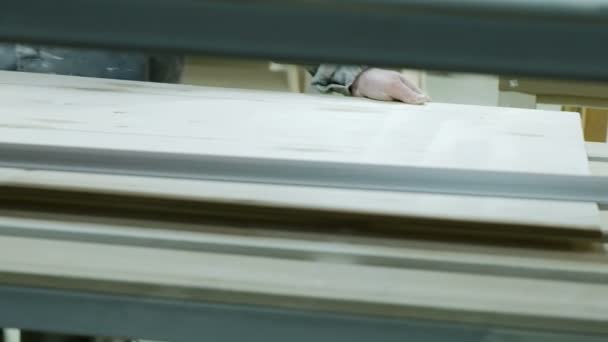 Εργαζόμενος γυαλίζει ένα φύλλο του κοντραπλακέ στο ένα τριβείο ζώνη — Αρχείο Βίντεο