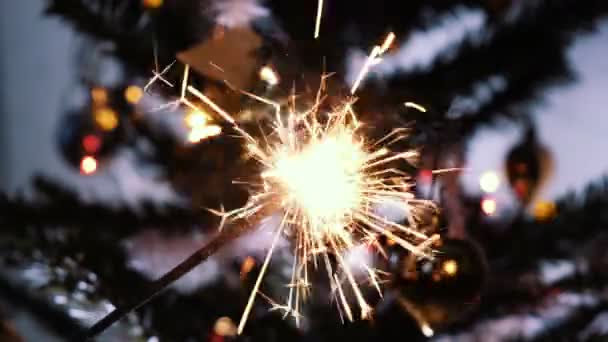 Fogos de artifício sparkler queimando com luzes no fundo — Vídeo de Stock