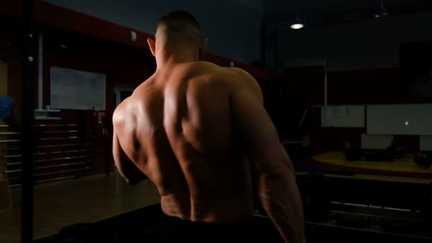 Powerlifter sacude sus bíceps con mancuernas, vista trasera de cerca — Vídeo de stock
