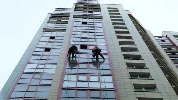 Os homens lavam janelas, lavam janelas em um arranha-céu, trabalham como alpinista — Fotografia de Stock