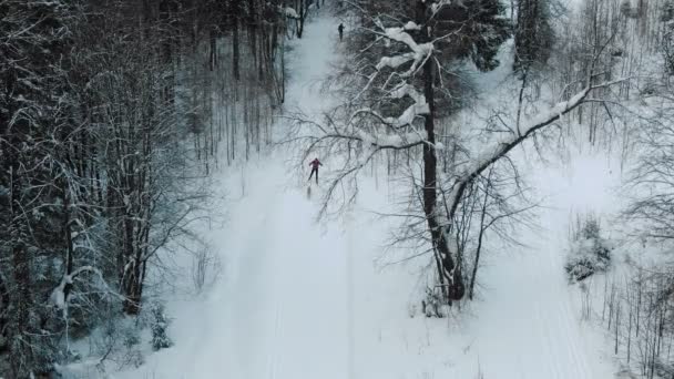 Вид с воздуха на любителя лыжного спорта в зимнем лесу с собакой — стоковое видео