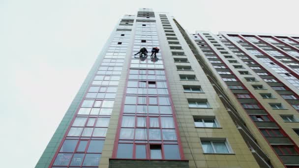 Two industrial climbers are washing, cleaning facade of a modern office building — Stock Video