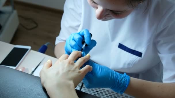 Manicure aplica esmalte. Cuidados de unhas em um salão de beleza. Mulher recebendo manicure unha, tratamentos de spa . — Vídeo de Stock