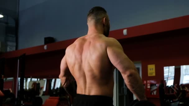 Brutal muscular man lifts dumbbells, shooting from behind in slow motion — Stock Footage Brutal muscular man lifts dumbbells, shooting from behind in slow motion Royalty Free Stock Footage