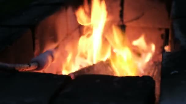 Niña freír salchichas en el fuego en la noche, primer plano — Vídeo de stock