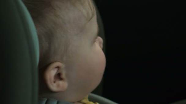 Tout-petit est assis dans le siège de sécurité de voiture enfant et regarde par la fenêtre — Video