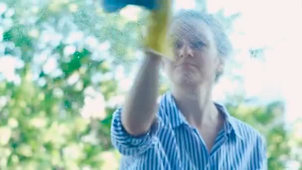 Senhora sorridente na camisa sprays detergente na janela e toalhetes — Vídeo de Stock