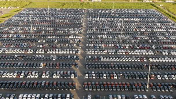 Bild färdiga bil lager parkeringar upplysta av Sun — Stockvideo