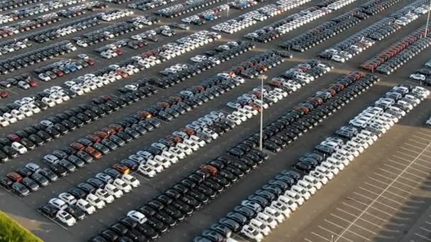 Yaz aylarında renk göre sıralanmış araba ile depolama park alanı — Stok video