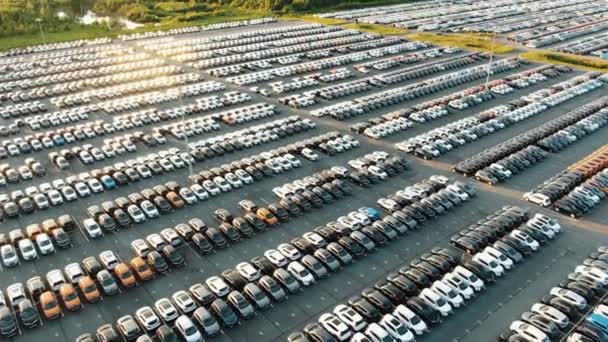 Enorma bilfabrik lager parkeringsplats träd reflektera i sjön — Stockvideo