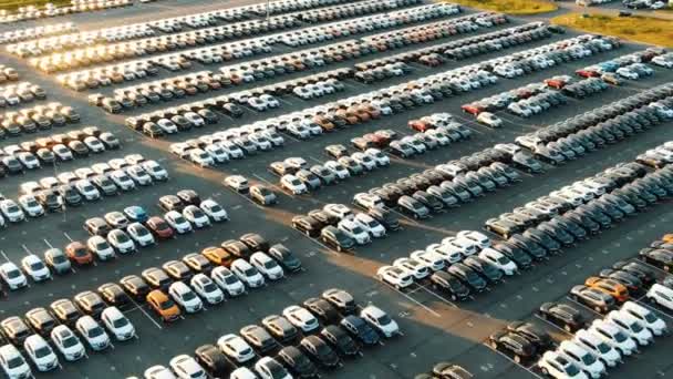 Разноцветные автомобили на складской парковке освещаются закатом — стоковое видео