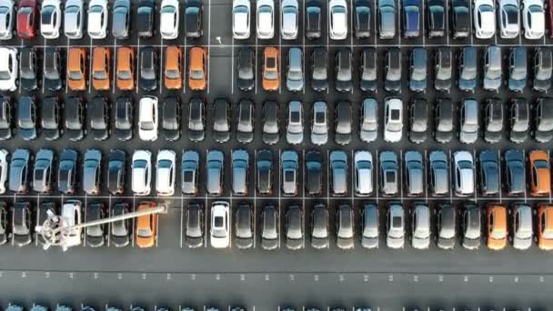 Obrazové automobily řady umístěné na parkovacím parkovišti — Stock video