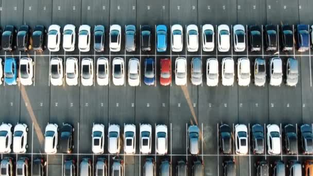 Цветные ряды автомобилей на складе с белой маркировкой — стоковое видео