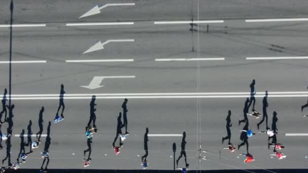 Aktif koşucular güneşli yaz gününde yol boyunca maraton koşu — Stok video