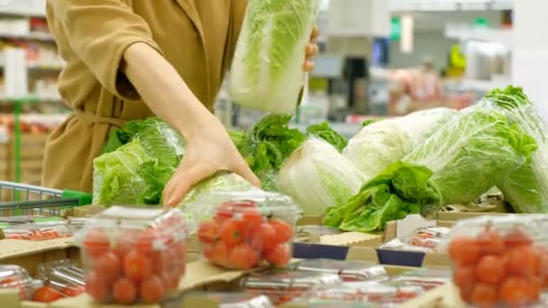 Lady in brown coat chooses green fresh lettuce closeup — Stock Video