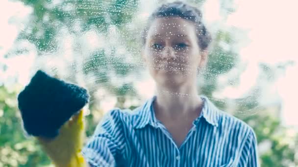 Hemmafru i skjorta våtservetter fönster glas med blå våt trasa — Stockvideo