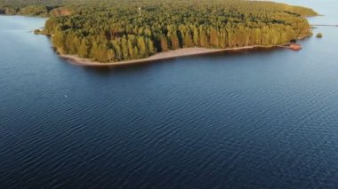 yeşil ormanlar karşı kumlu plaj ile geniş nehir bankası