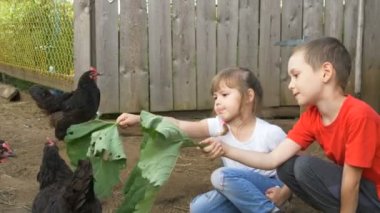 komik çocuklar bahçesinde siyah hens de burdock yaprakları sallamak