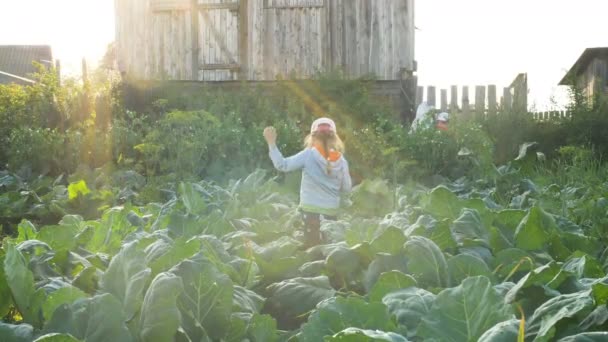 キャップの若いかわいい女性は、緑の庭の植物に沿って歩きます — ストック動画