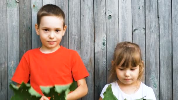 Roliga barn täcka ansikten med löv på sommardag — Stockvideo